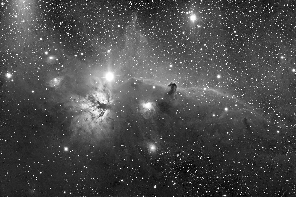 The Horse Head Nebula