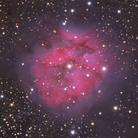 The Cocoon Nebula