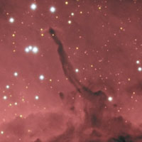 Herbig-Haro 555