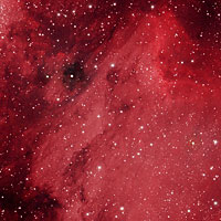 The Pelican Nebula