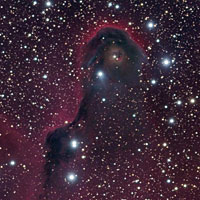 The Elephant Trunk Nebula